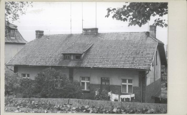 dom, skan 2