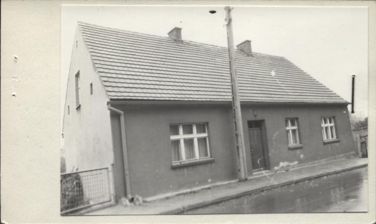 dom, skan 2