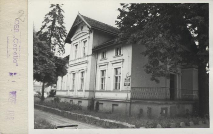 dom, skan 3