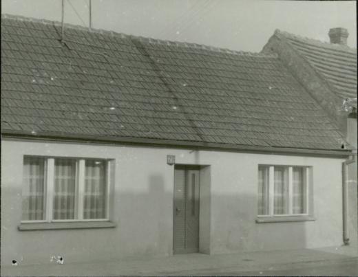 dom, skan 3