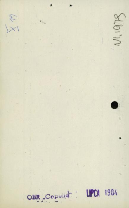 willa, skan 5