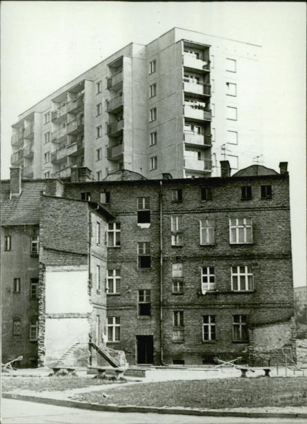 dom, skan 8