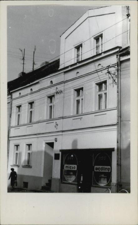 dom, skan 2