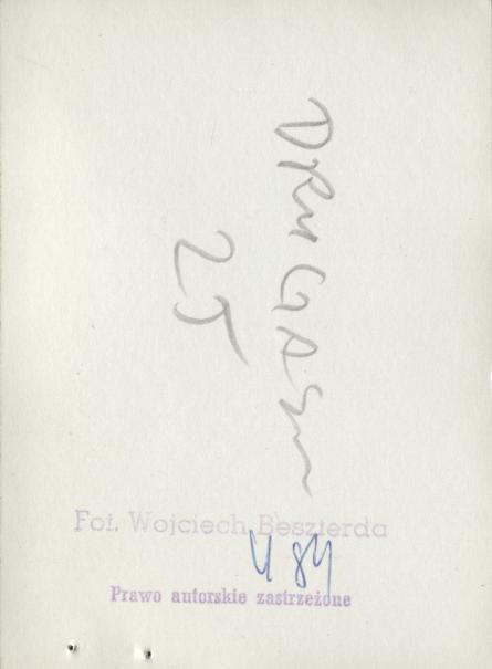 dom, skan 6