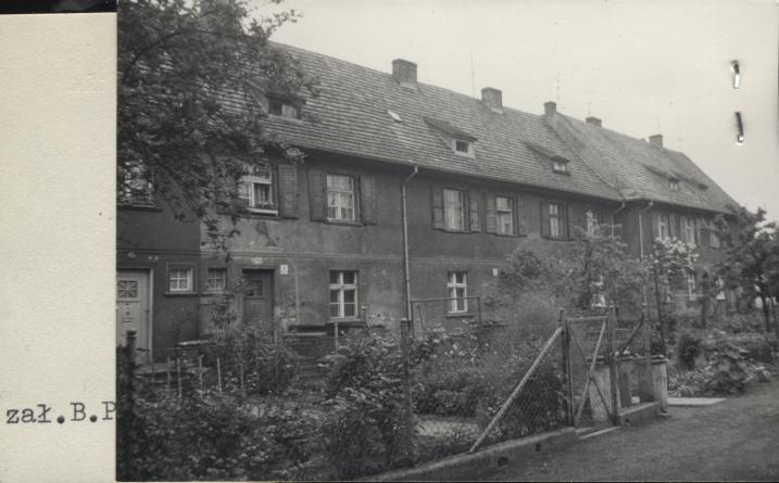 dom, skan 3