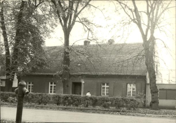 dom, skan 3
