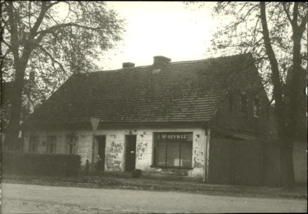 dom, skan 3