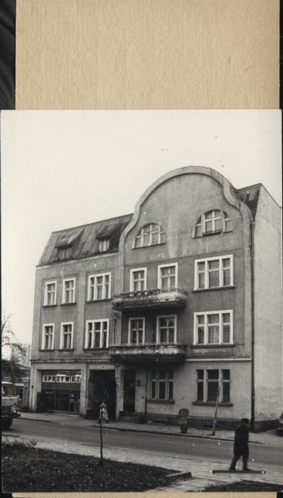dom, skan 2