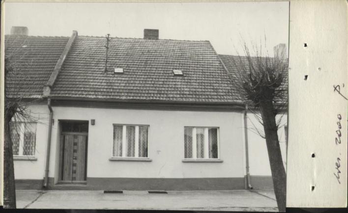 dom, skan 2