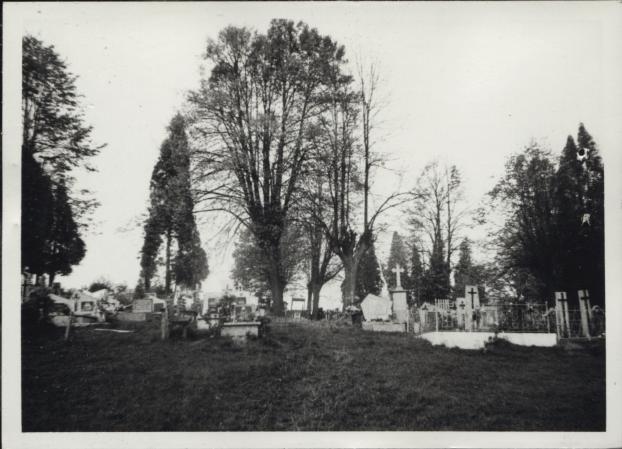 cmentarz katolicki, skan 3
