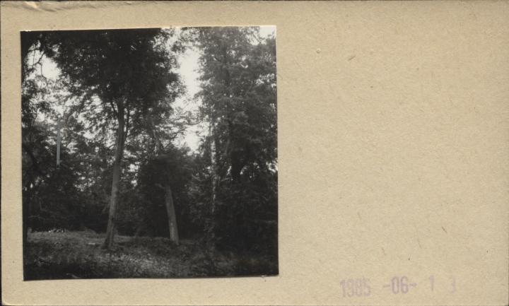 park, skan 2