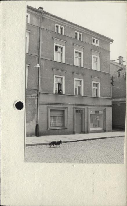 dom, skan 2