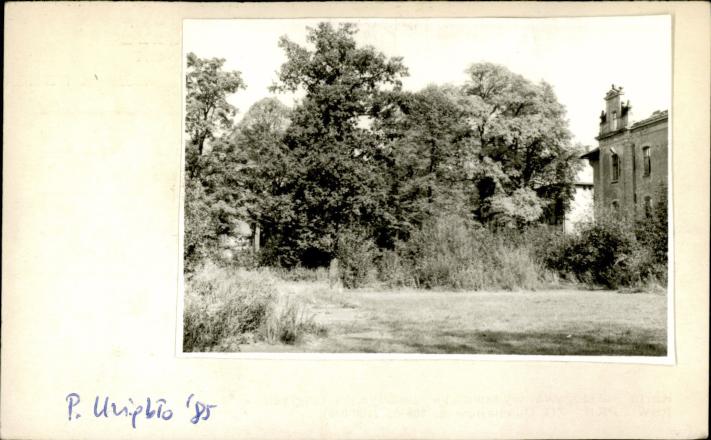 park przy dworze, skan 2