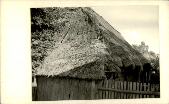 dom, skan 3
