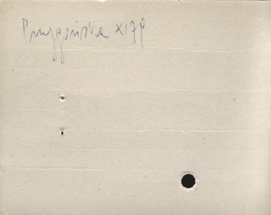 dom mieszkalny, dom podróżnika, skan 2