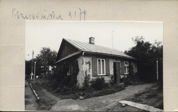 dom, skan 3