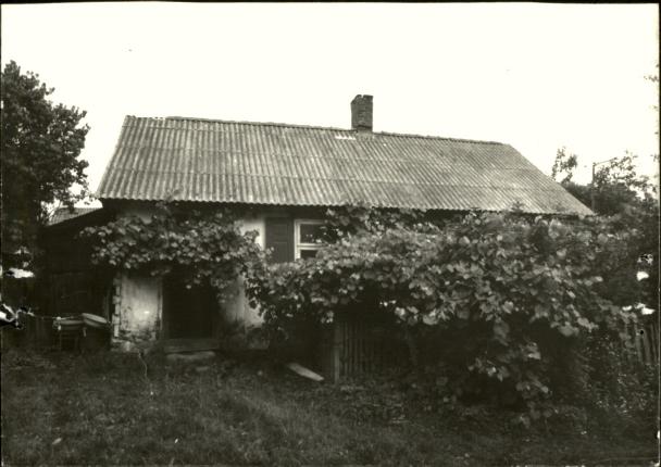 dom, skan 3