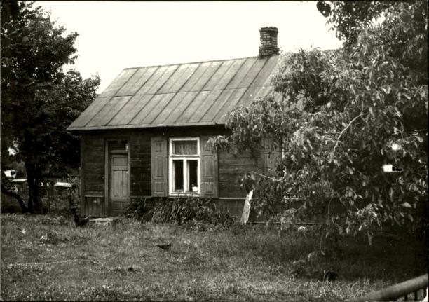 dom, skan 3