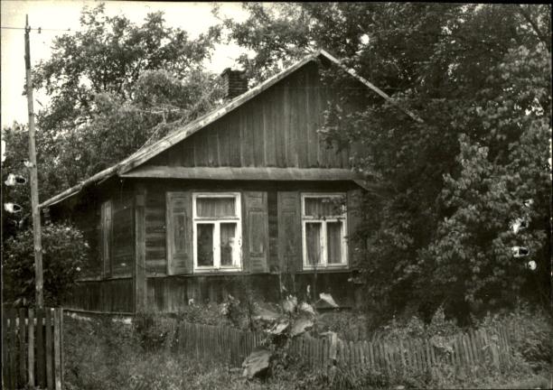 dom, skan 3
