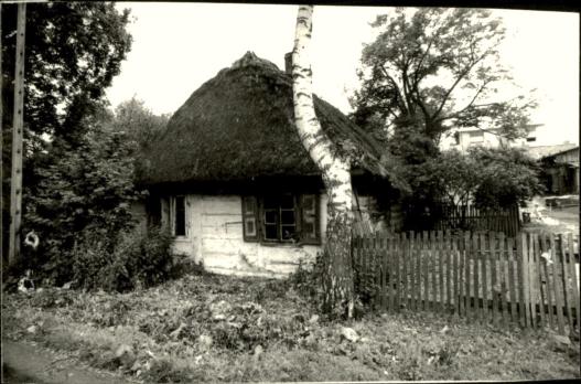 dom, skan 3