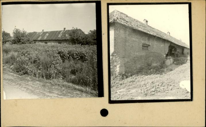 obora dworska, skan 2
