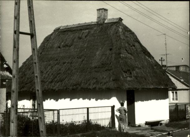 dom, skan 3
