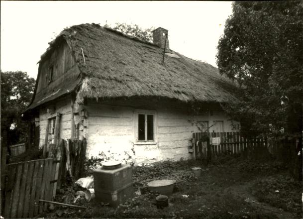 dom, skan 3