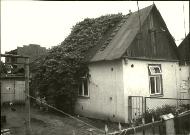 dom, skan 3