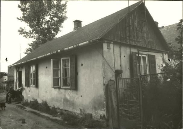 dom, skan 3