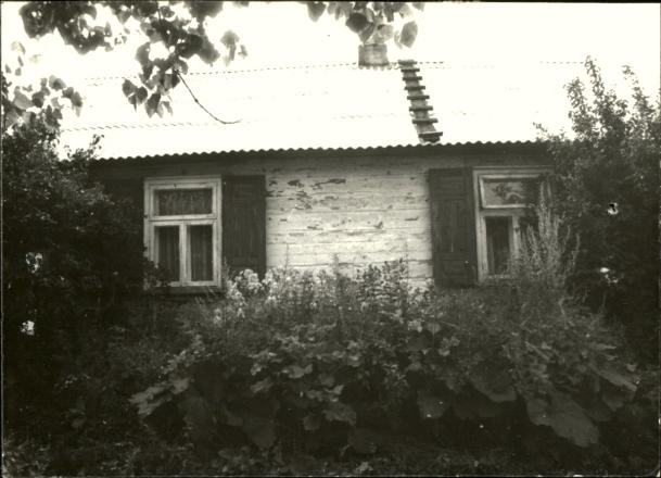 dom, skan 3