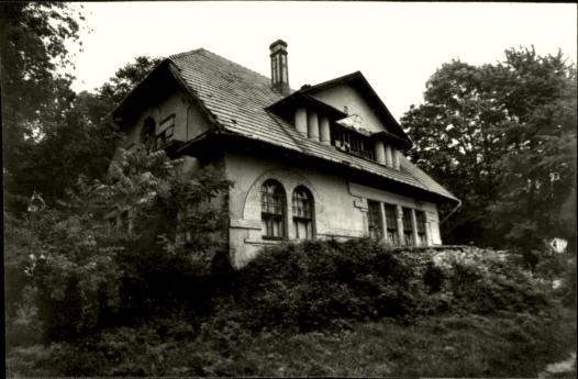 willa Brzozy, skan 3