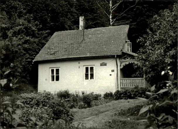 willa Kurzajka, skan 3