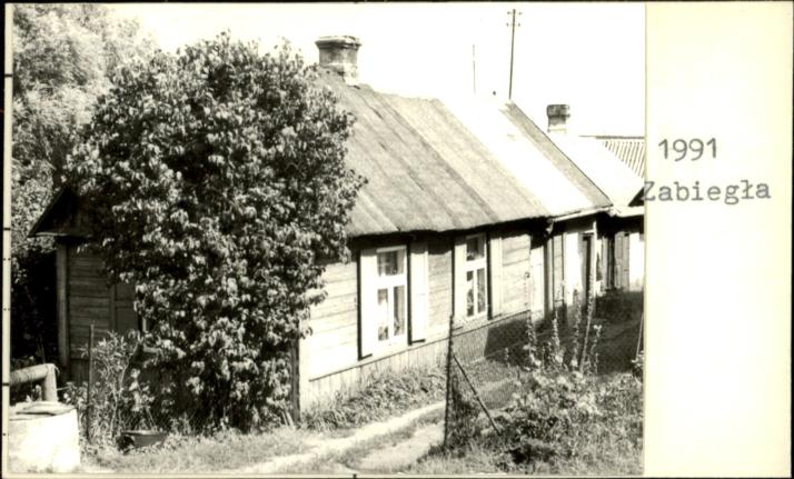 dom, skan 3
