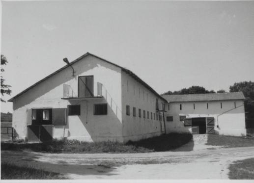 stajnia, skan 3