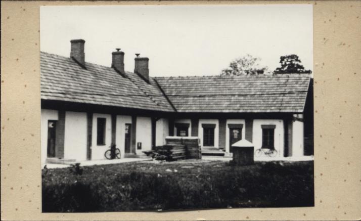 kurnik, skan 3