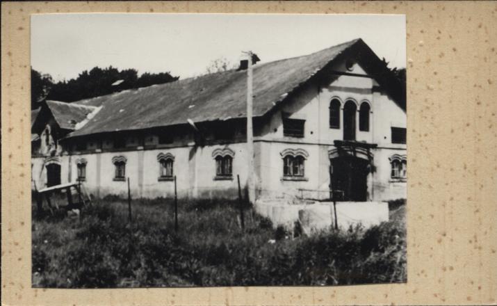stajnia, skan 3