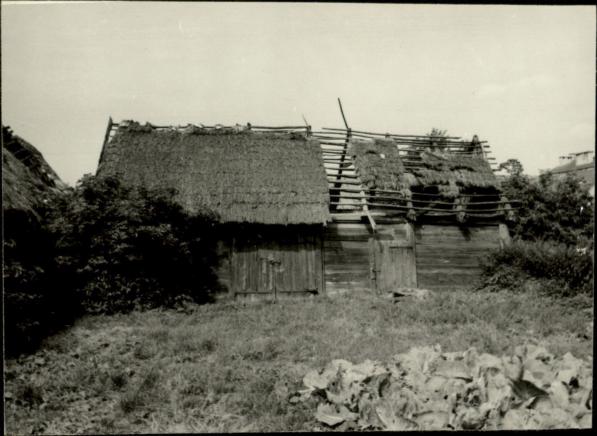 stodoła, skan 3