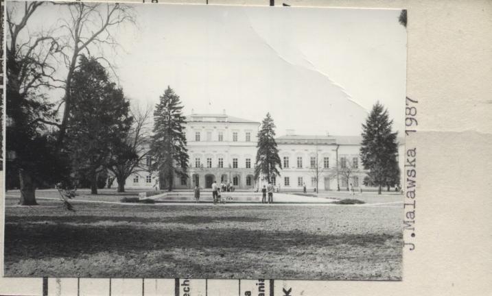 pałac, skan 2