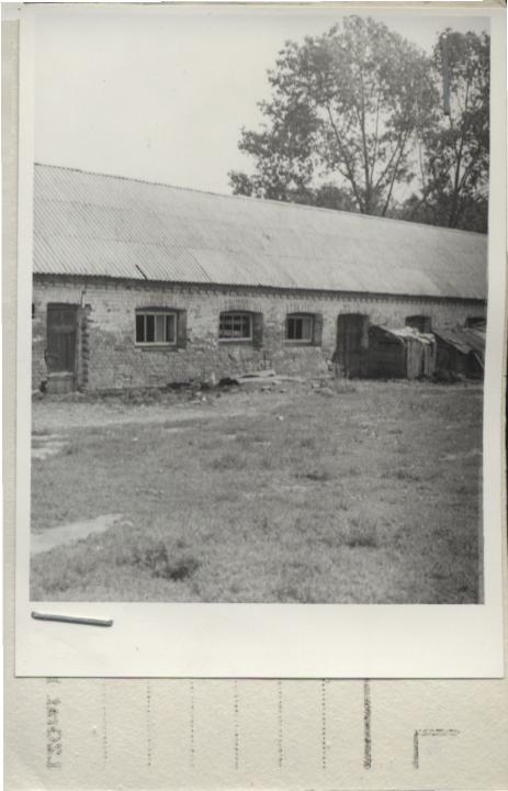 królikarnia, skan 2