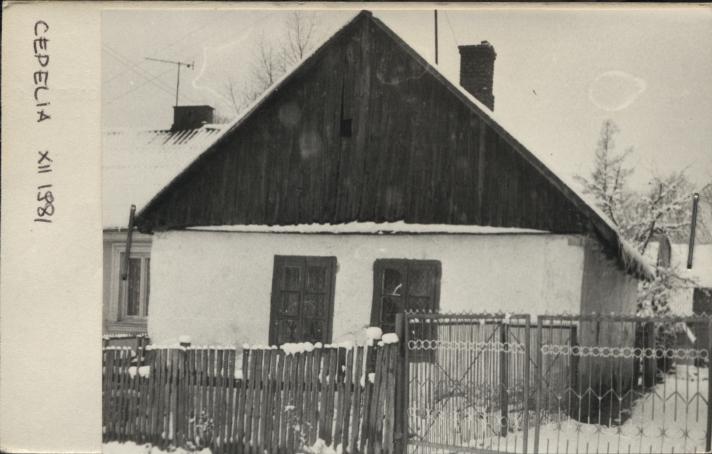 dom, skan 2
