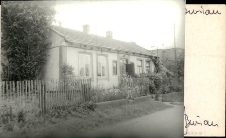 dom, skan 3