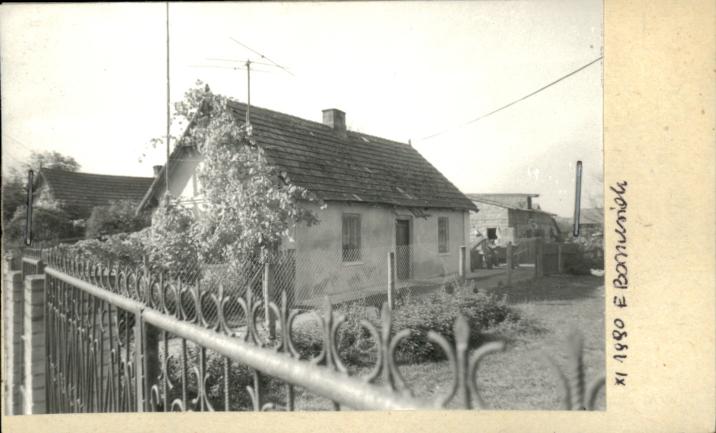 dom, skan 2