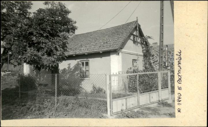 dom, skan 2