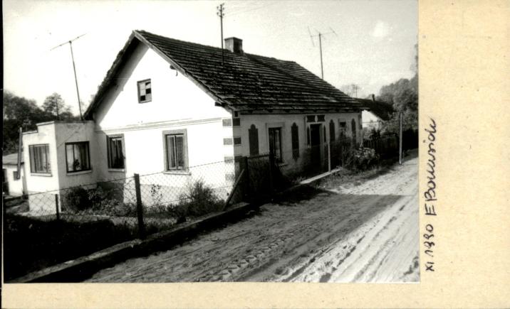dom, skan 2