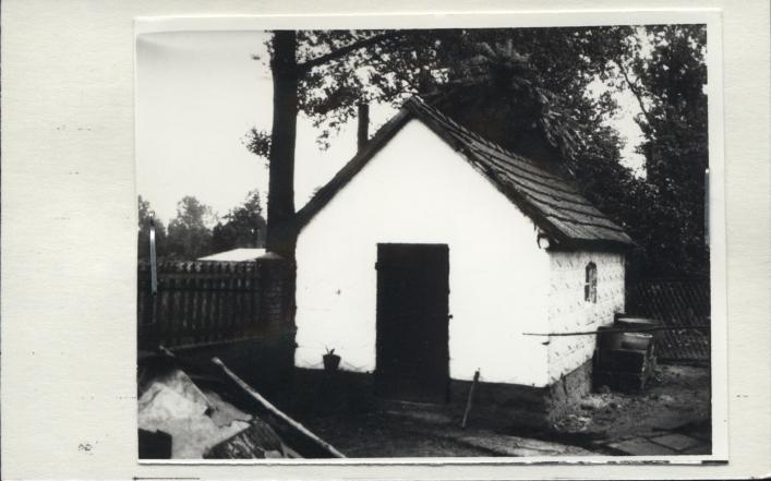 lamus, skan 2