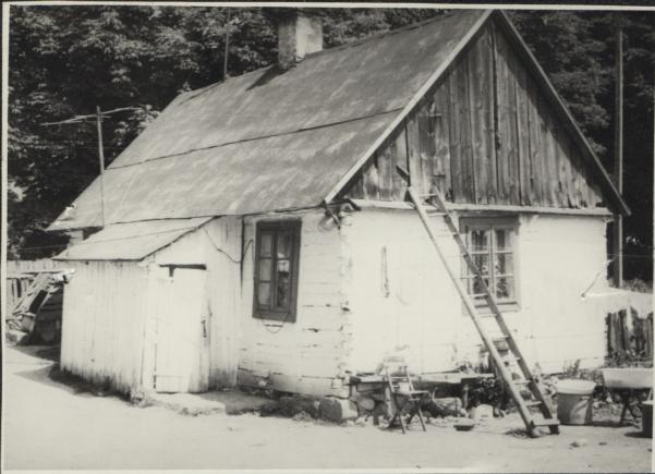 dom, skan 2