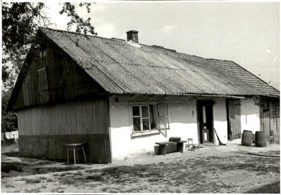 dom, skan 2