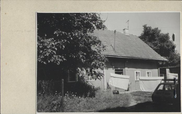 dom, skan 2
