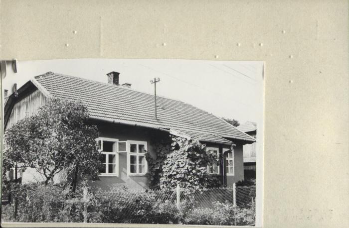 dom, skan 2