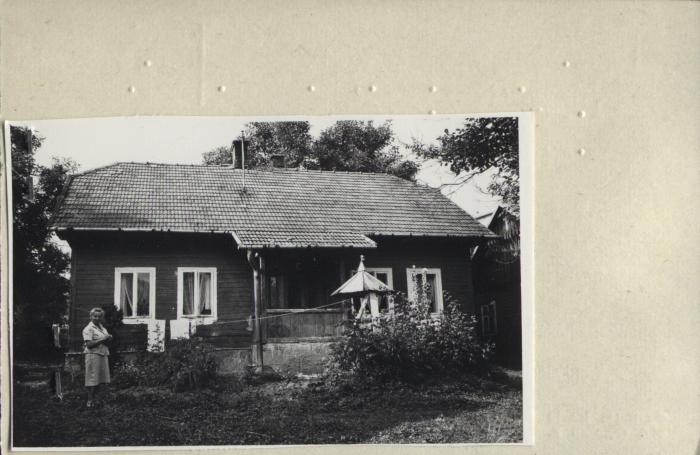 dom, skan 2